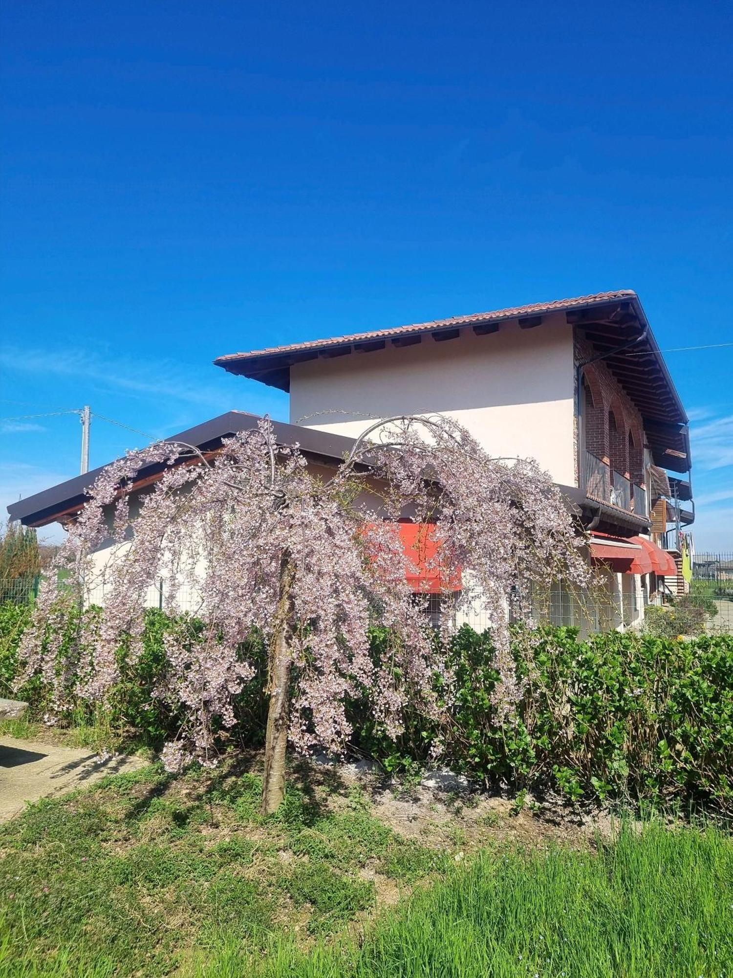 Cascina La Demilana Bed & Breakfast Bibiana Екстериор снимка
